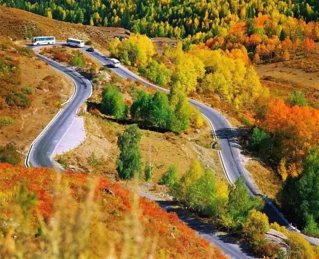 心系新疆,我的第二故乡之美